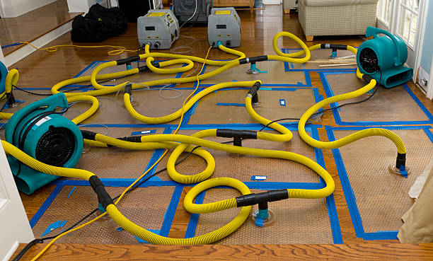 Professional Burst Pipe Water Damage technician working in South Cairo, NY